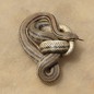 a beige snake twisted around itself against a beige background