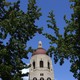 The top of a building, surrounded by trees 