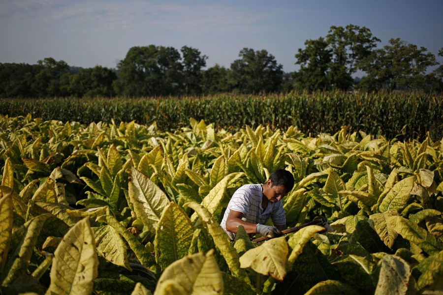 Kentucky: Images Of The Bluegrass State - The Atlantic