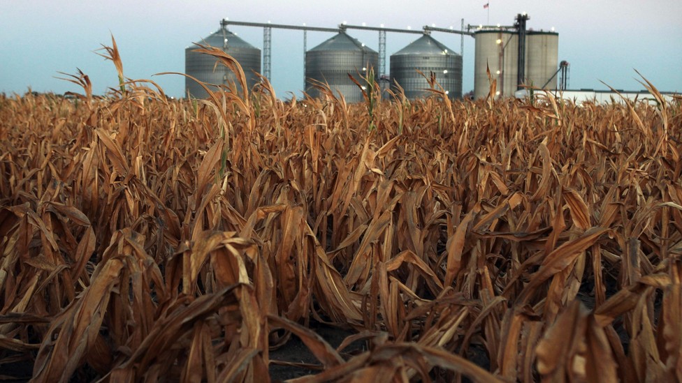 Lawmakers Pump EPA for Lower Ethanol Mandate The Atlantic