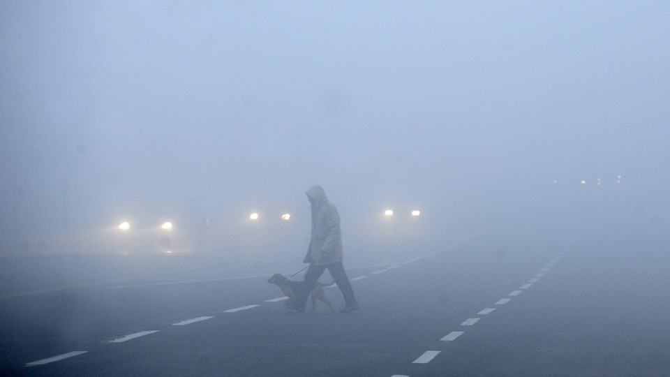 A person and a dog walk across a road in foggy weather.