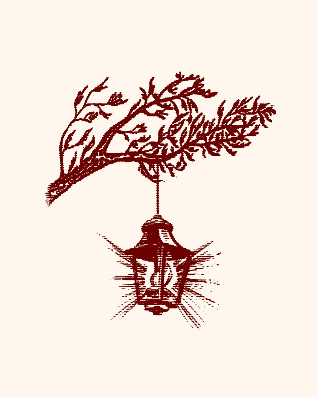 illustration in style of an engraving of a tree branch with a lit lantern hanging from it, beaming out light