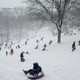 A sea of children sleds down a snowy hill.