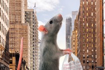 Illustration showing a rat the size of five-story building in New York City standing on its hind legs, carrying a plastic bag