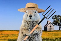 a gopher stylized to resemble the American Gothic painting