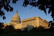 The U.S. capital surrounded by leaves