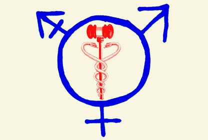 An illustration of a gavel, a caduceus, and male and female sex symbols