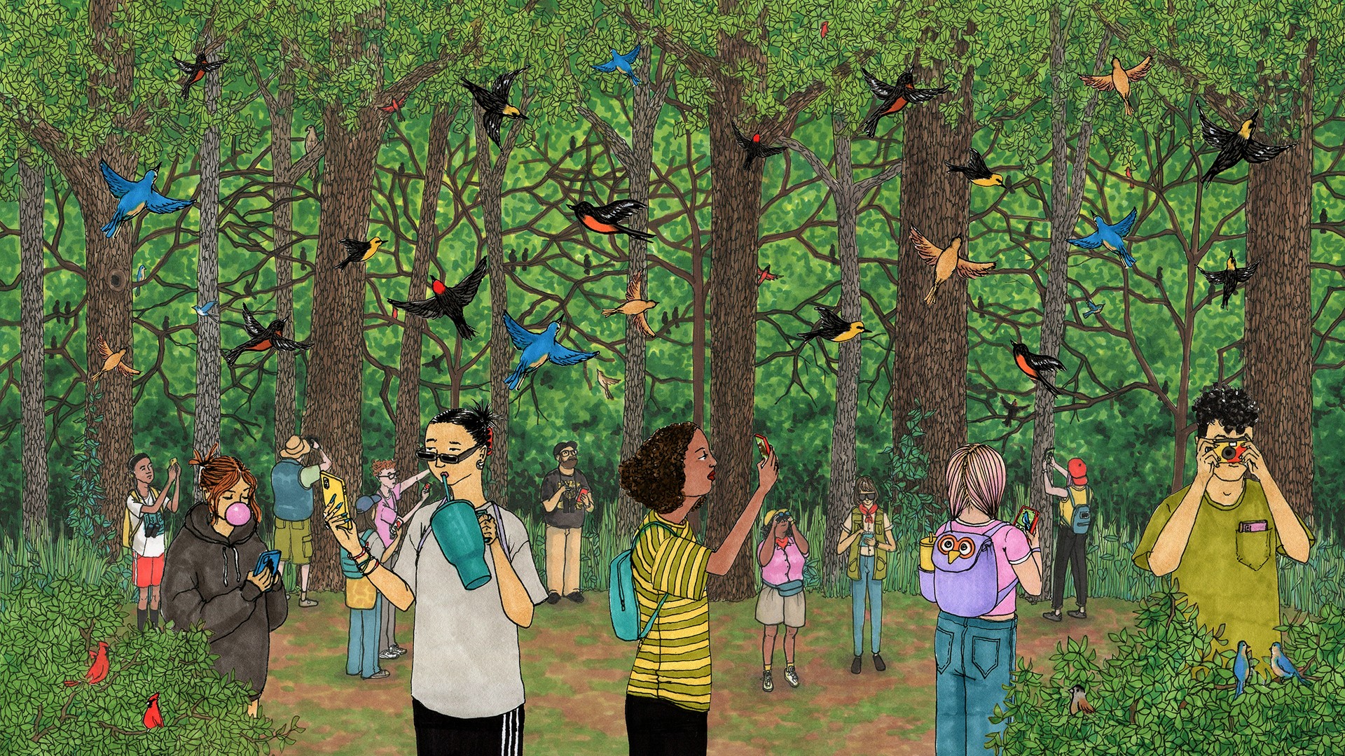 Illustration of young birders in a forest