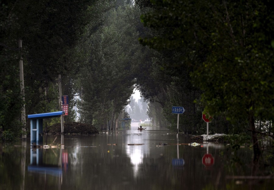 A person wades in chest-deep floodwater, on a tree-lined road.