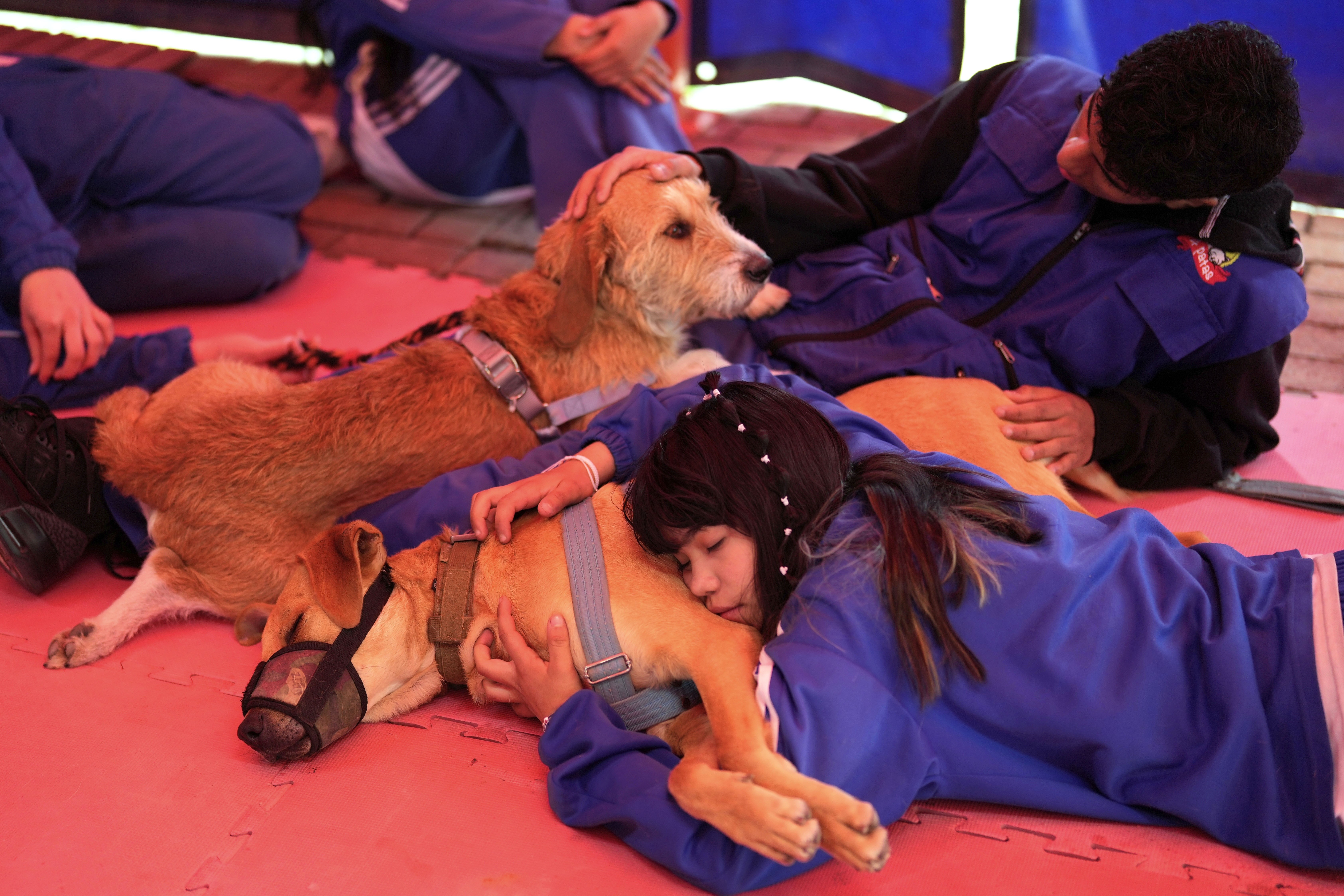 Several young people lie on the floor, hugging and petting shelter dogs.