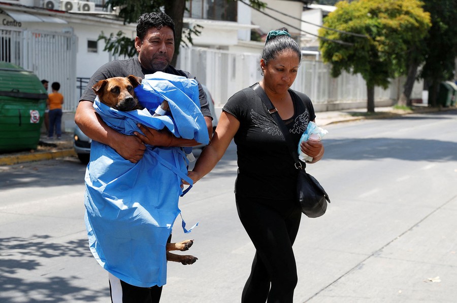 Two people walk across a road; one carries an injured dog wrapped in blue fabric.
