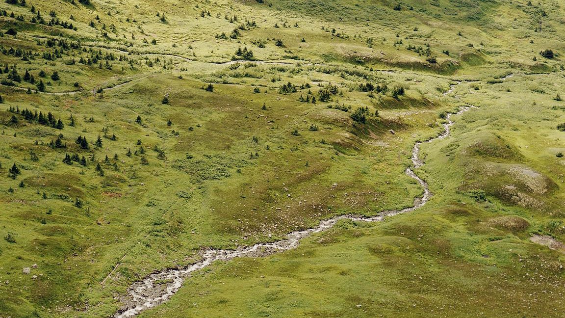 The Environmental Movement Needs to Touch Grass
