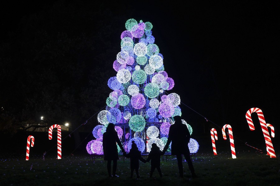 Four people look up at a Christmas tree-shaped light installation.