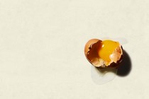 A cracked egg