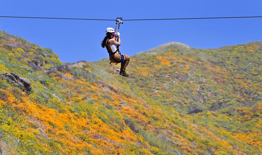 A person holds onto a harness while they zipline above a flower-covered hillside.