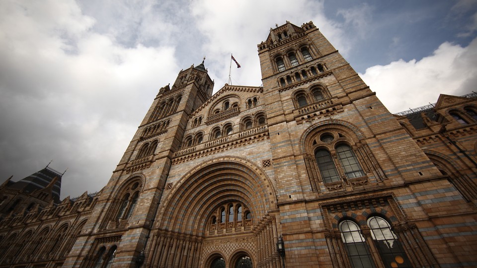 The front of London's Natural History Museum