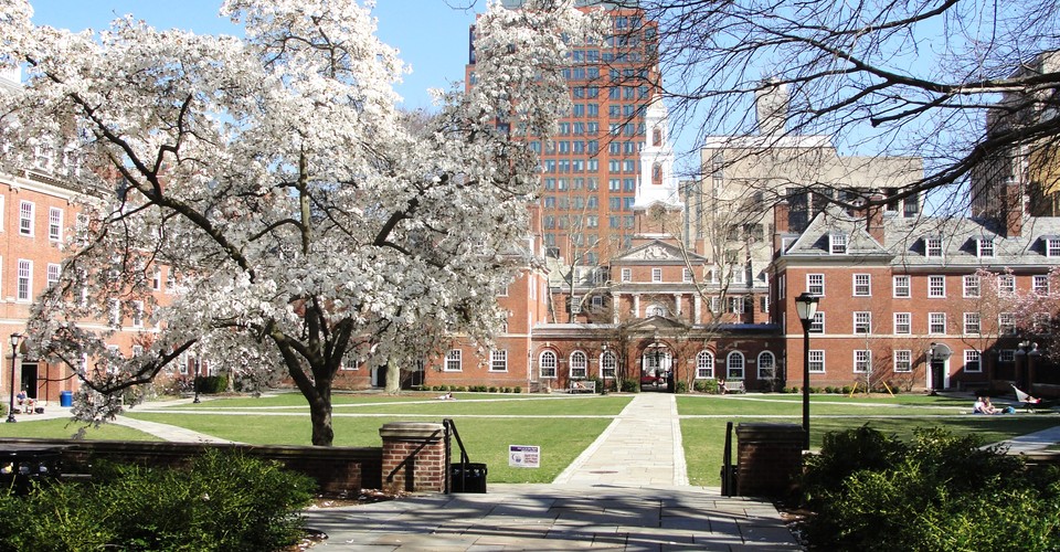 Race speech and campus protests at yale the atlantic