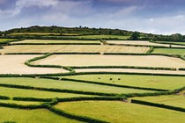 A patchwork of fields on Bodmin Moor in Cornwall