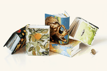shorter stories books