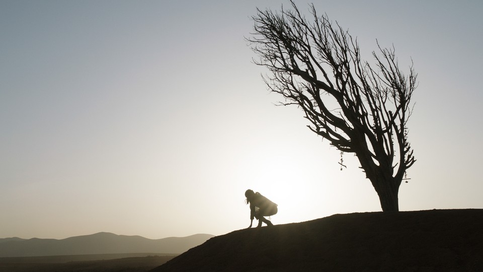 The silhouette of a person crouching next to a tree