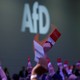 Participants at an Alternative for Germany party congress raise pamphlets in front of a sign reading "AfD."