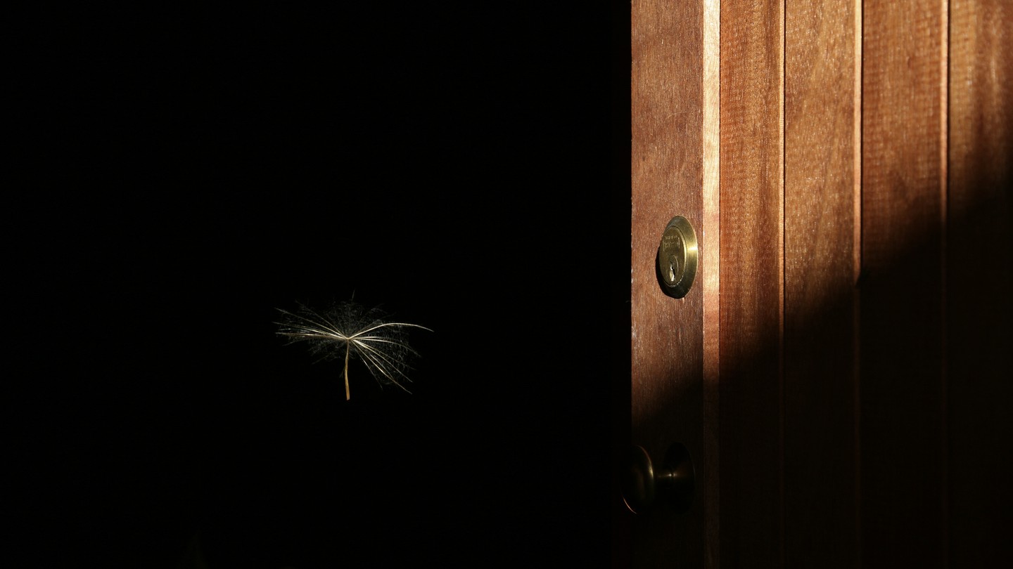 A little Dandelion seed floating in the black space beyond a door with a light shining on it
