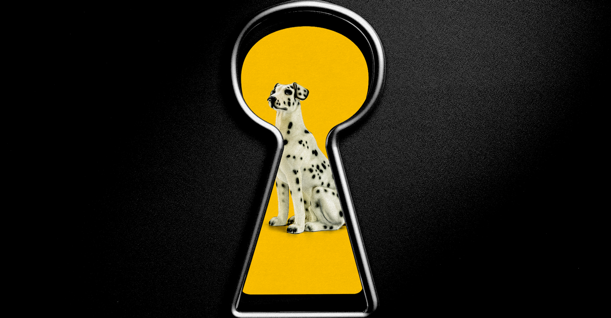 https://cdn.theatlantic.com/thumbor/s268slf1BC3ZfJYLyokmaWeWhP0=/0x30:2000x1072/1200x625/media/img/mt/2025/09/DogPrivacy/original.png