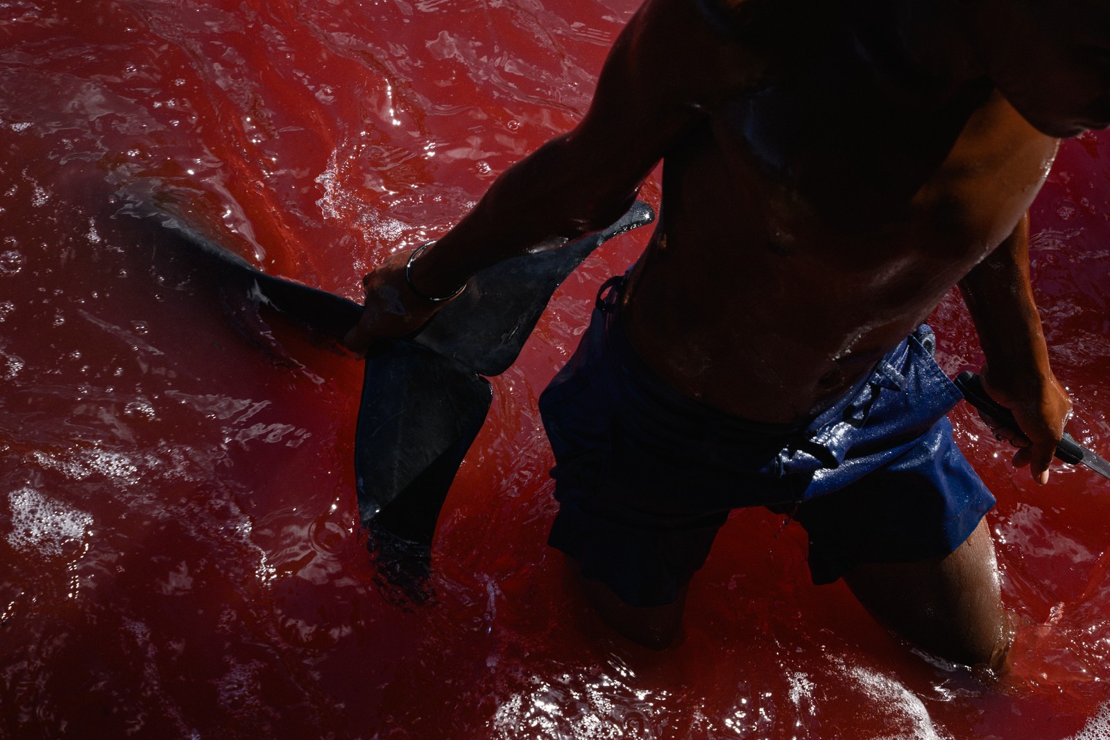 A young man drags a dolphin toward the shore, wading through water colored red by blood.