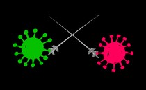 Two coronaviruses with different spikes fencing