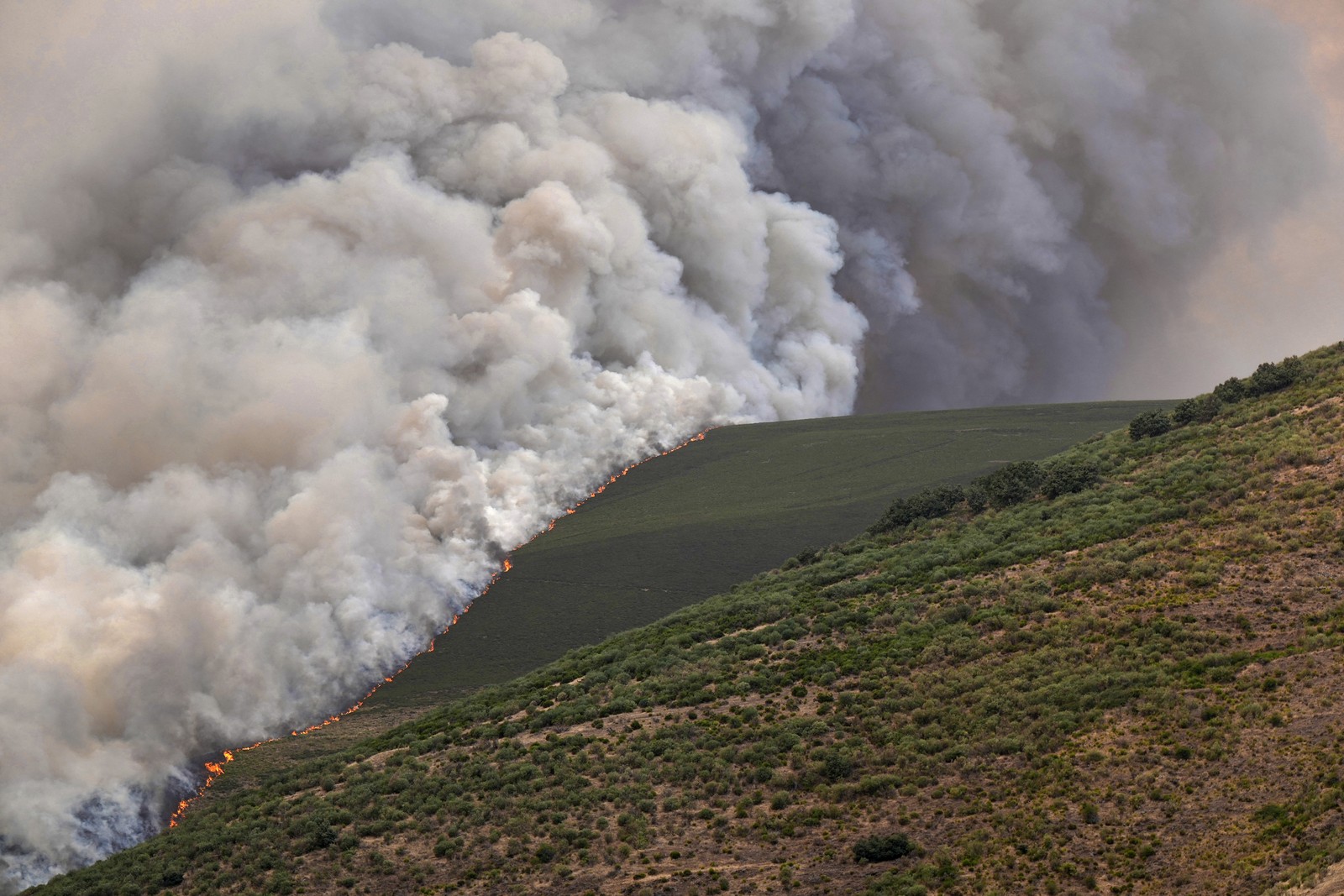 A wildfire burns in a line across a hillside.