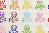 An illustration of the Skull and Bones emblem in the colors of the rainbow