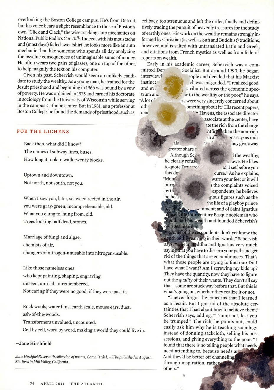 pdf of the magazine page with photos of lichen collaged on