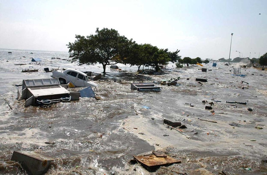 2004 tsunami survivors