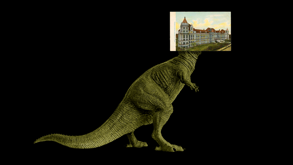 T. rex Debate: One or Three?