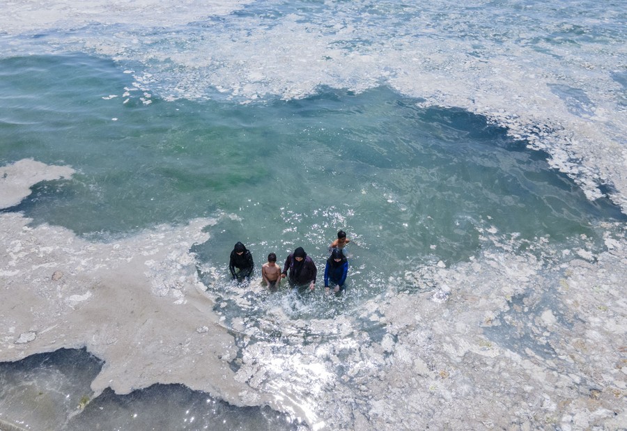 People wade near the shore among rafts of mucilage.
