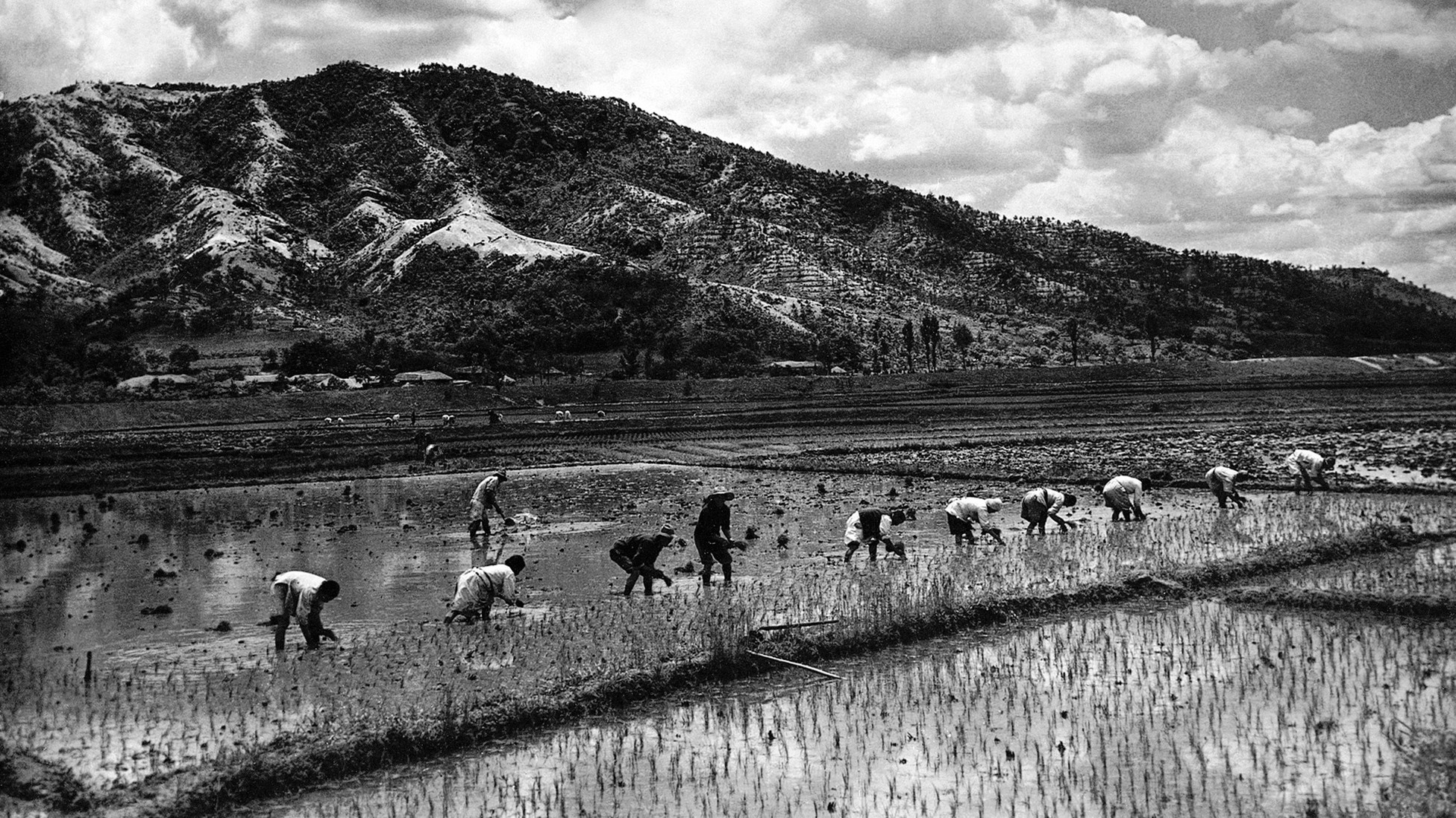 How Land Reform Underpins Authoritarian Regimes The Atlantic