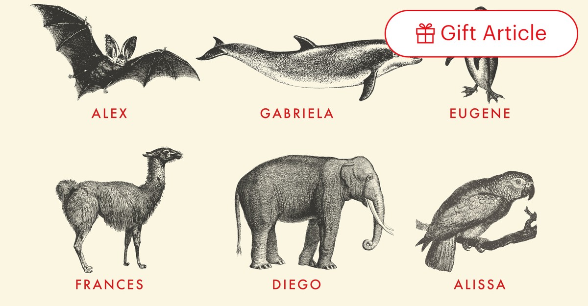 Elephants Are Doing Something Deeply Human - The Atlantic