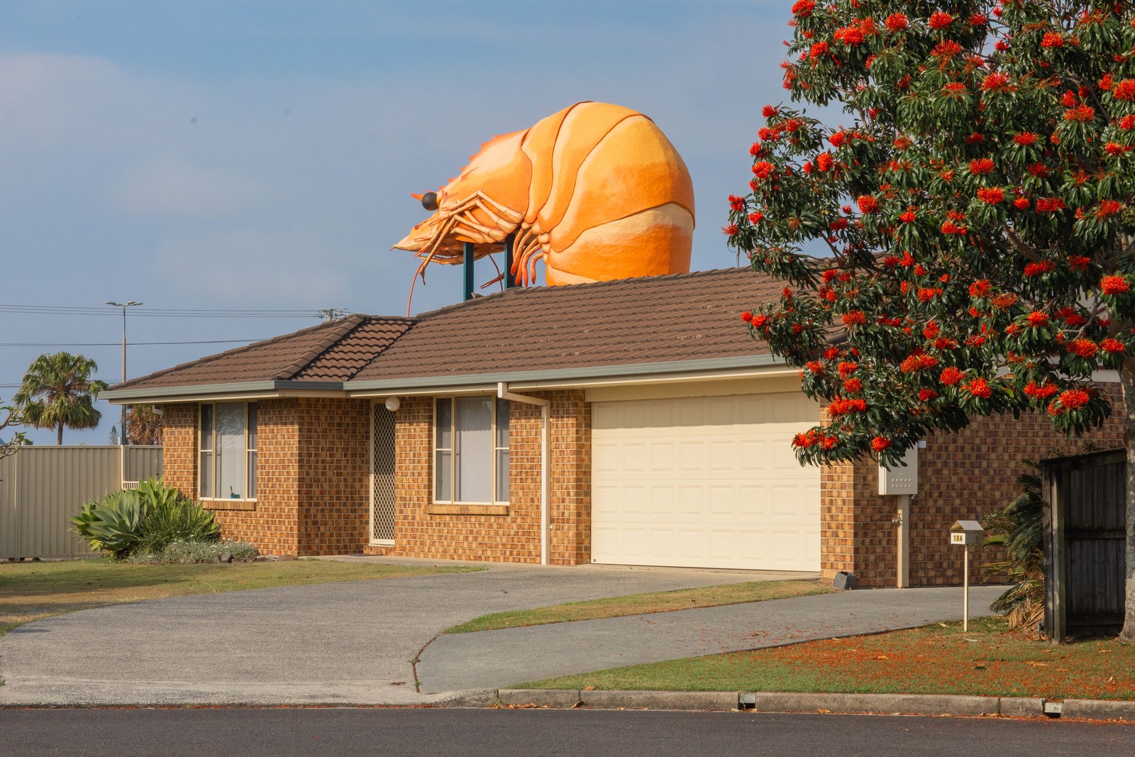 A gigantic statue of a prawn rises up behind a suburban house.