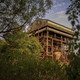Trees frame a rusting building at the abandoned former Union Carbide pesticide plant in Bhopal, India, on November 11, 2014.