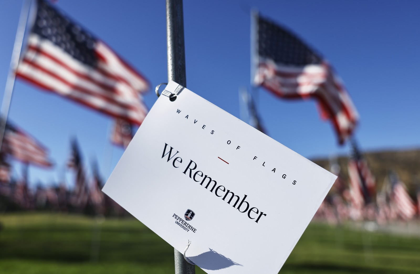 A small placard reading 'We remember' hangs from a flag pole among many American flags.