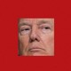 Photo of Trump on the left; photo of E. Jean Carroll on the right