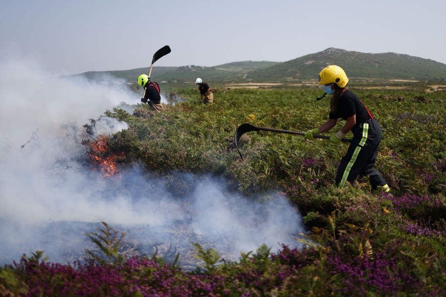 Several firefighters use tools to beat a brushfire.