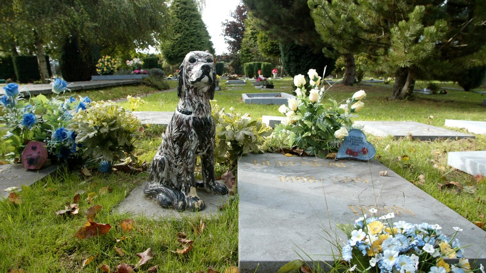 Gravestones, flowers, and a statue of a dog