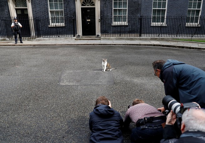 Media members photograph Larry the Cat outside 10 Downing Street on June 11, 2019