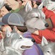 An illustration showing wolves and humans together
