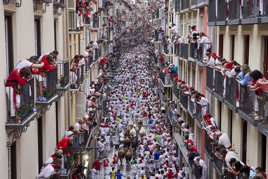 An elevated view down a narrow street, looking at hundreds of people running away from a small herd of bulls.