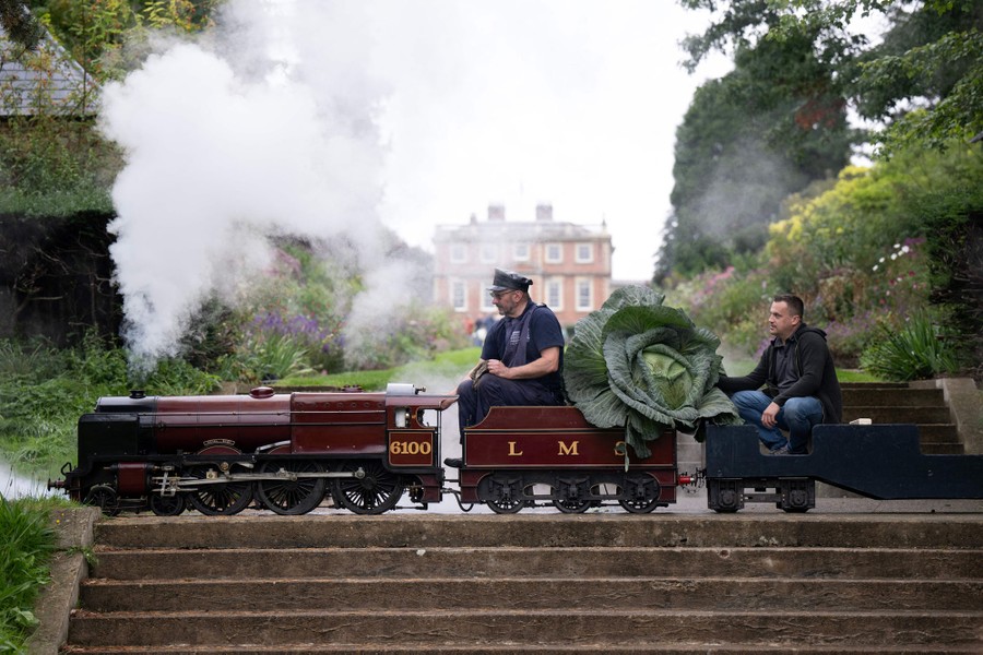 Two men ride on a small scale model steam train, alongside a gigantic cabbage.