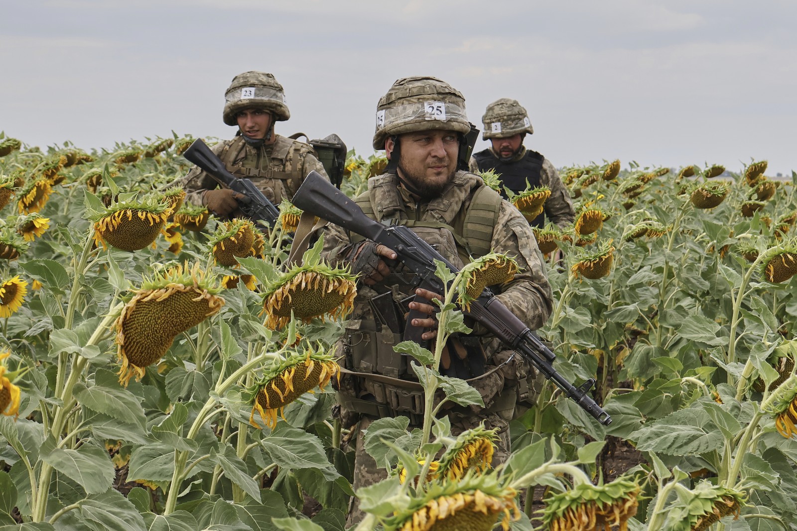 Several soldiers in training walk through a sunflower field.