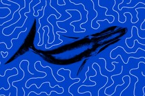 Whale surrounded by squiggly lines