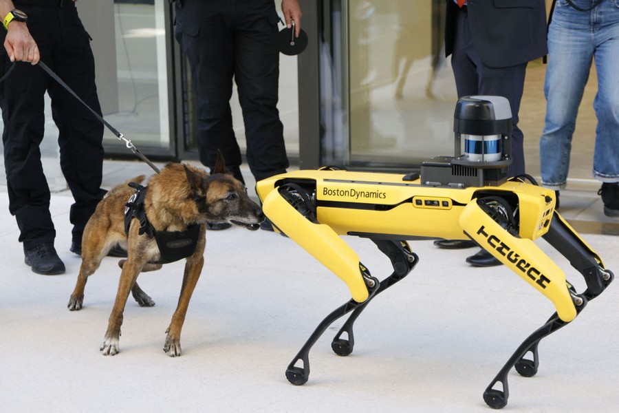 A real dog leans in to investigate a robotic dog.